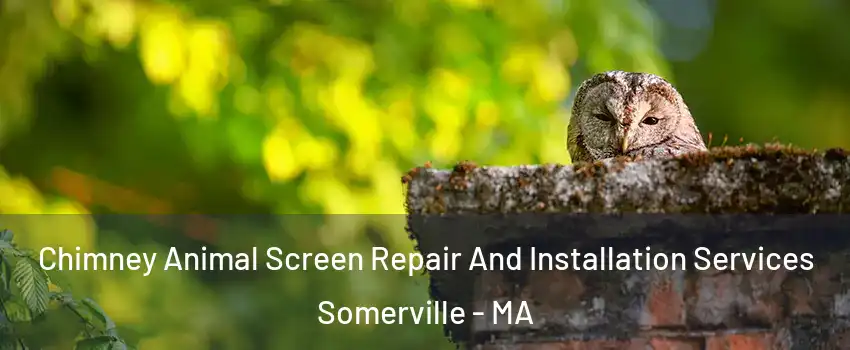  Chimney Animal Screen Repair And Installation Services Somerville - MA