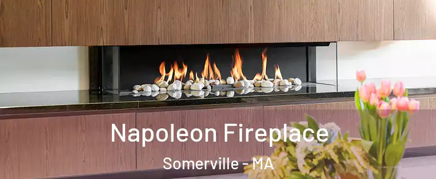  Napoleon Fireplace Somerville - MA
