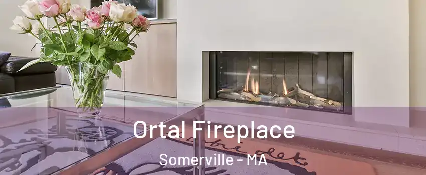  Ortal Fireplace Somerville - MA